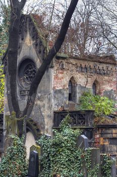 The Old cemetery at Prague - Olsany cemetery