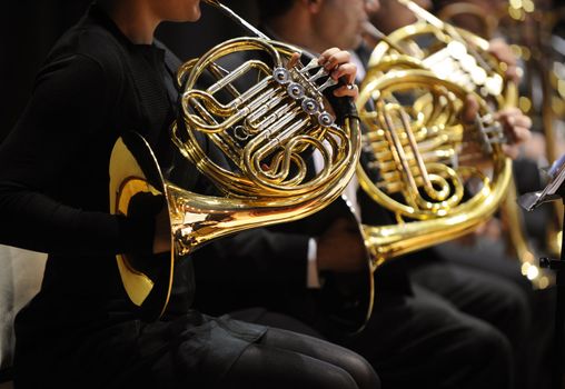 french horn during a classical concert music