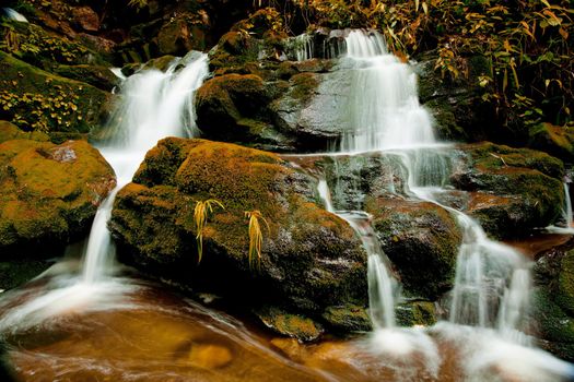 Waterfall in forest