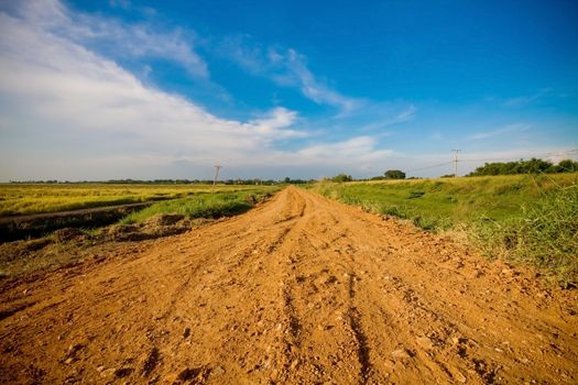 Off-road track in country