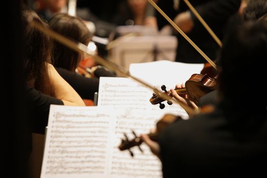 violinists during a classical concert music