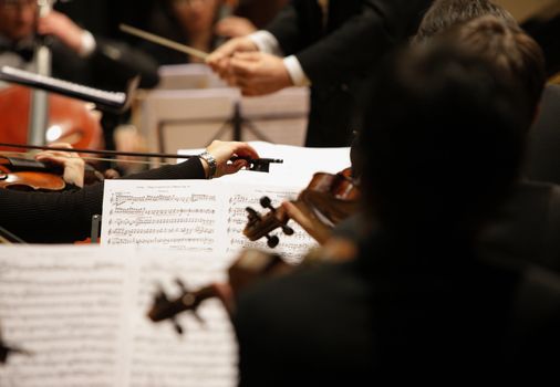 violinists during a classical concert music, music conductor on background