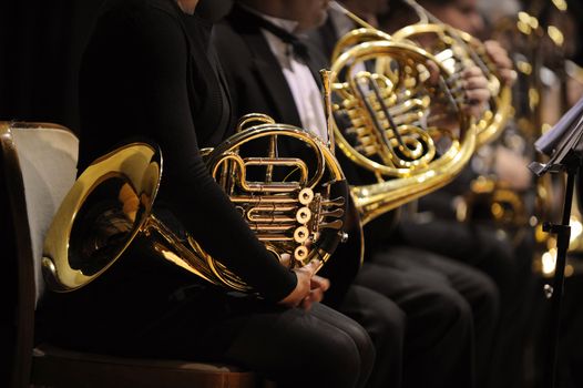 french horn during a classical concert music