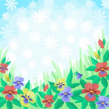 Floral background, colorful pansies flowers in the meadow, and white in the blue sky