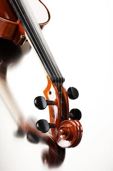 close up shot of a violin