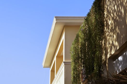 Generic architecture in Rajashtan India with first roof, roof terrace with garden and over hanging wall plants