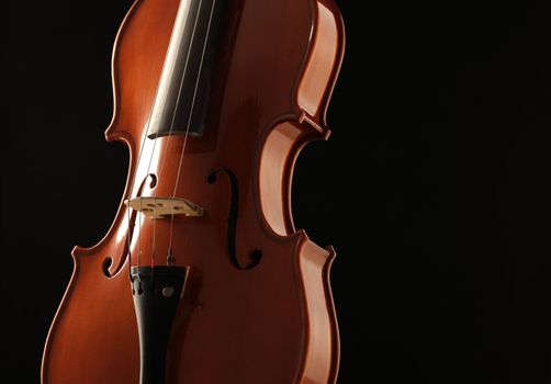 Elegant shot of a violin