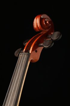 Elegant shot of a violin