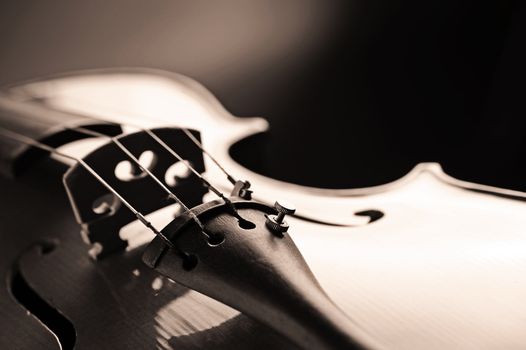 close up shot of a violin, shallow deep of field