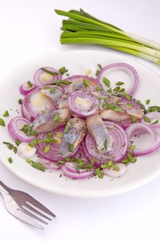 Fish with onion on a plate on isolated background