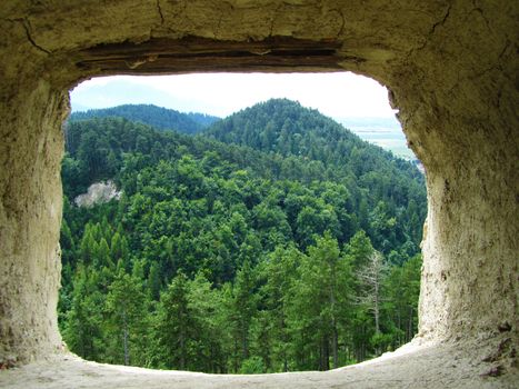  Panoramic view of a forest trough a window in a stonewall                              