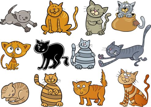 cartoon illustration of funny twelve cats set