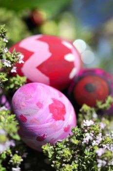 Row of Easter Eggs with Daisy on Fresh Green Grass 