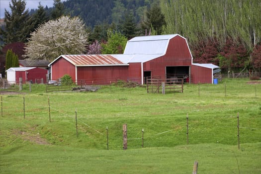 Country barn, Woodland WA.