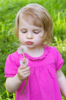 Cute baby girl blowing dandelion in meadow