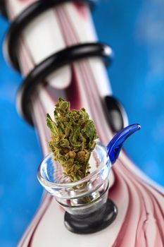 Dried flower of Cannabis sativa in the chillum of a glass bong (water pipe) (Selective Focus, Focus on the front of the cannabis blossom)