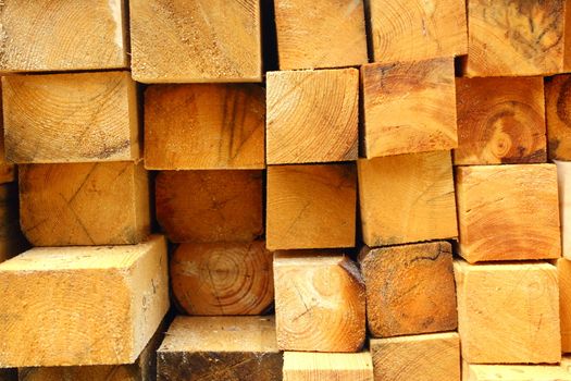 pattern of a bunch of felled wood