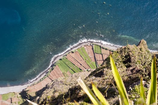 scene in portugal / island of madeira