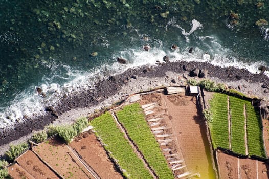 scene in portugal / island of madeira