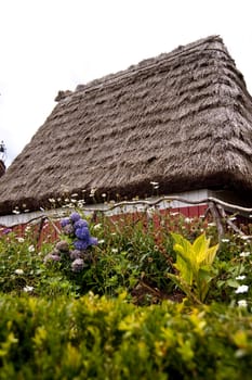 scene in portugal / island of madeira