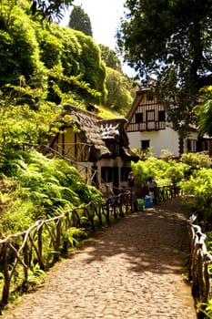 scene in portugal / island of madeira