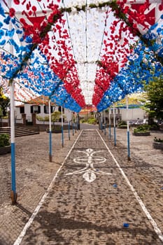 scene in portugal / island of madeira