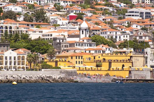 scene in portugal / island of madeira