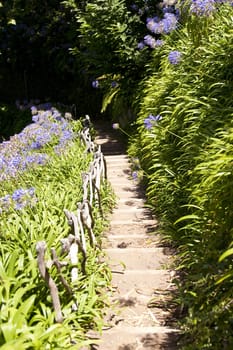 scene in portugal / island of madeira