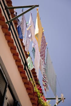 scene in portugal / island of madeira