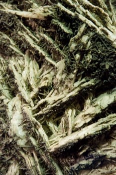 close up of a mineral