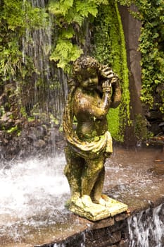 scene in portugal / island of madeira