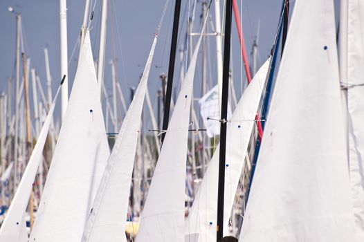 Scene on the Kiel Week 2010, Germany