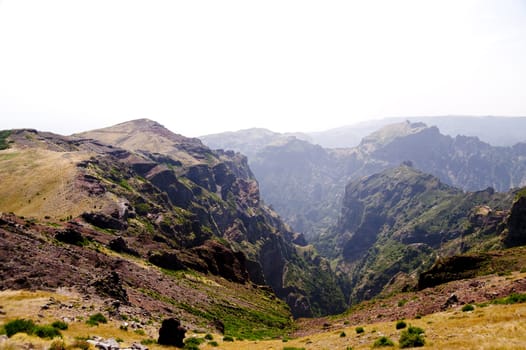scene in portugal / island of madeira