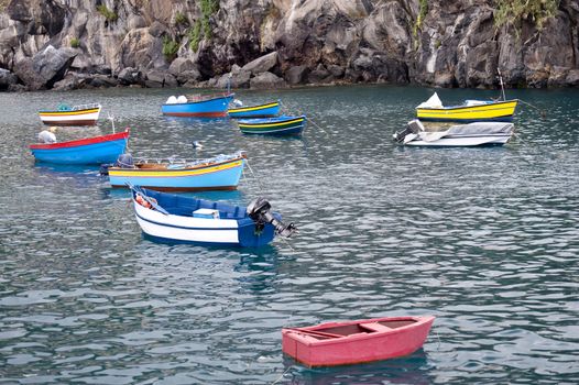 scene in portugal / island of madeira