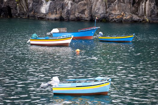 scene in portugal / island of madeira