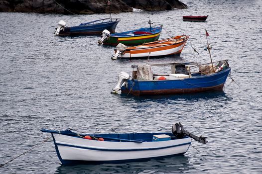 scene in portugal / island of madeira