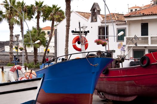 scene in portugal / island of madeira