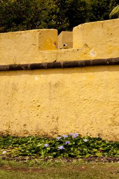 scene in portugal / island of madeira