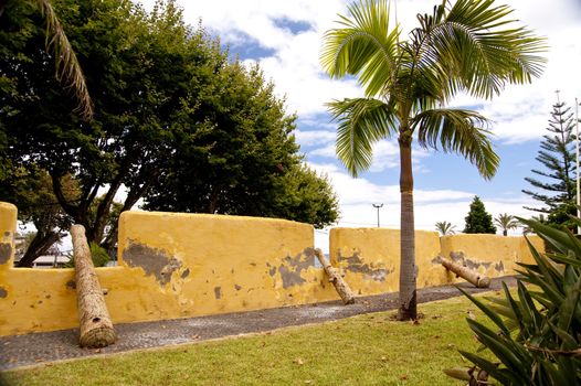 scene in portugal / island of madeira