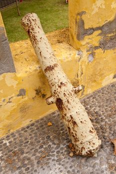 scene in portugal / island of madeira