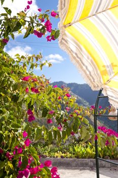scene in portugal / island of madeira