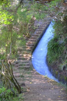 scene in portugal / island of madeira