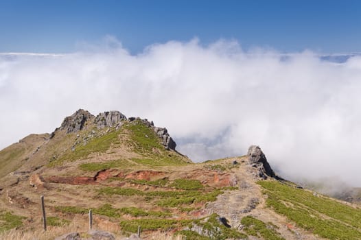 scene in portugal / island of madeira