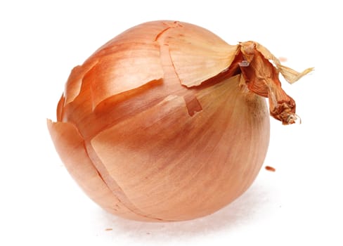 Image of an onion (Allium cepa) against a white background.