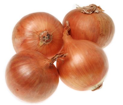 Image of four onions (Allium cepa) isolated against a white background.