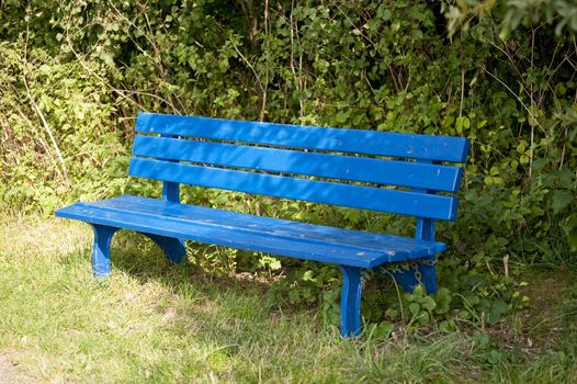 close up of a blue bench