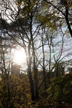 Lismore castle in silhouette through the beautiful trees in county Waterford Ireland