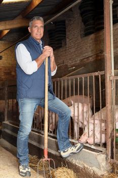 Farmer standing with rake in hand