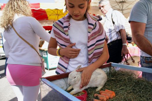 little girl cuddling a rabbit on the market