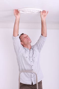 fixing, plaster ceiling rose